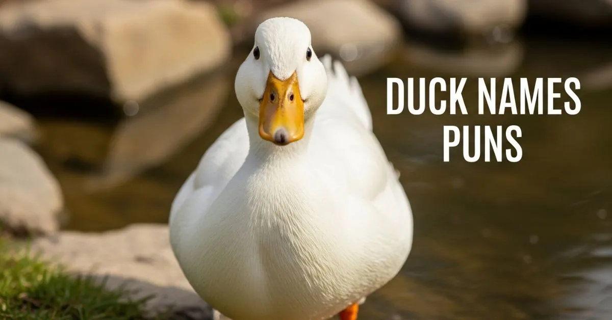 Duck Names Puns