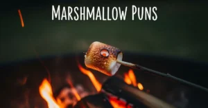 Marshmallow Puns