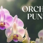 Orchid Puns