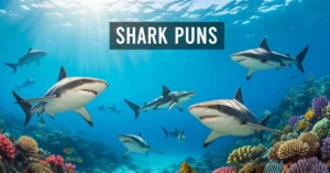 Shark Puns