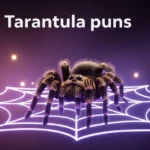 Tarantula Puns