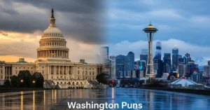 Washington Puns
